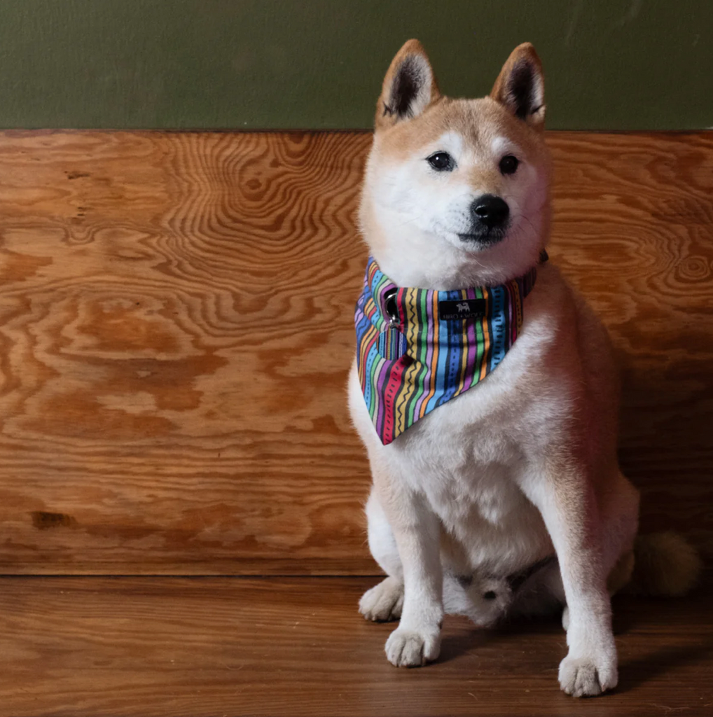 Dog Bandanas