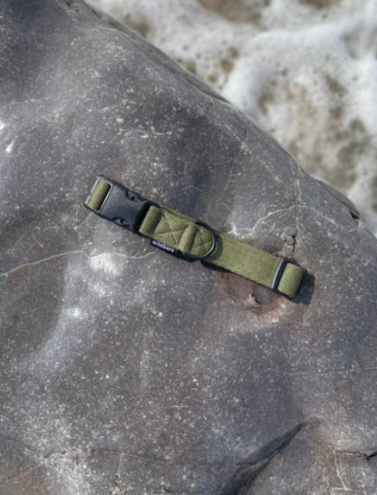 Khaki coloured dog collar made from recycled Ocean Plastics, lying on a rock on a beach